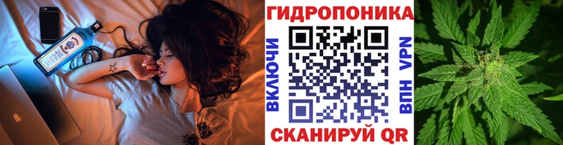МАРИХУАНА White Widow hydra Фёдоровский